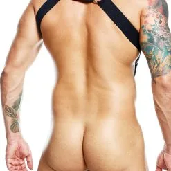 DNGEON Straight Back Harness - Noir 13 DNGEON Straight Back Harness - Noir -Poppers Soldes dngeon straight back harness noir 5 1 9409