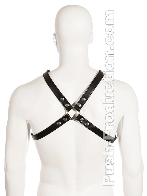 Harnais Classique En Cuir Noir 4 Harnais Classique En Cuir Noir – Image 2