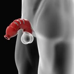 H?nkyjunk - Lockdown Chastity Device - Ice -Poppers Soldes hnkyjunk lockdown chastity device ice 2 1 8318