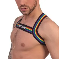 Pride Harness - Black -Poppers Soldes pride harness black 2 1 8607